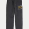 Baggy University of Southern California Trojans Graphic Sweatpants Baggy University of Southern California Trojans Graphic Sweatpants