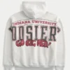 Boxy Indiana University Hoosiers Graphic Hoodie Boxy Indiana University Hoosiers Graphic Hoodie