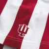 Boxy Indiana University Hoosiers Graphic Polo