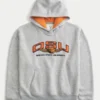Boxy Oregon State University Beavers Graphic Hoodie Boxy Oregon State University Beavers Graphic Hoodie