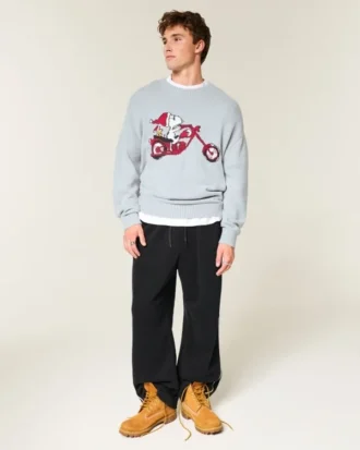 Boxy Snoopy Graphic Crew Sweater