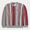 Boxy The Ohio State University Buckeyes Graphic Crew Sweater