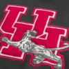 Boxy University of Houston Cougars Graphic Hoodie