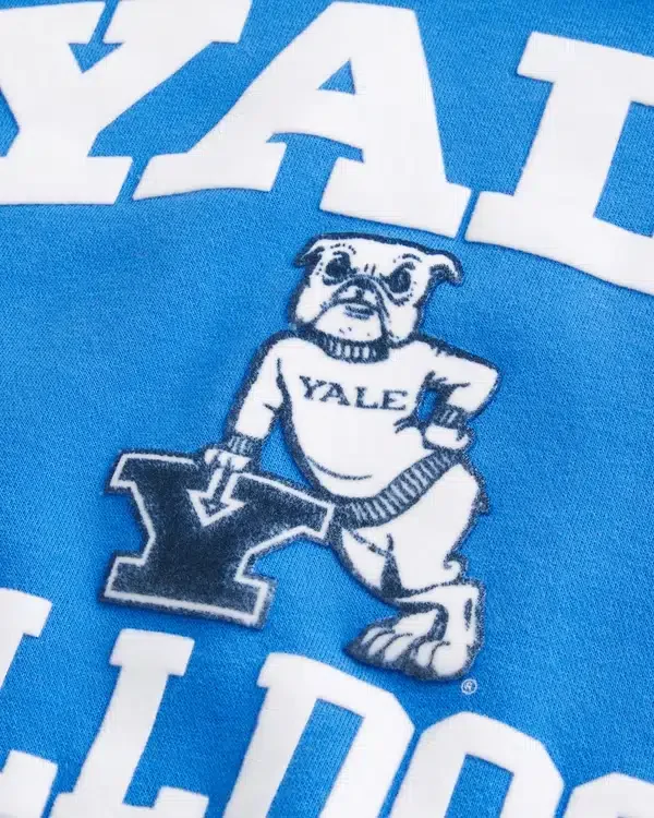 Boxy Yale Bulldogs Graphic Hoodie Boxy Yale Bulldogs Graphic Hoodie