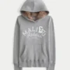 Faux Fur-Lined Hood Graphic Hoodie