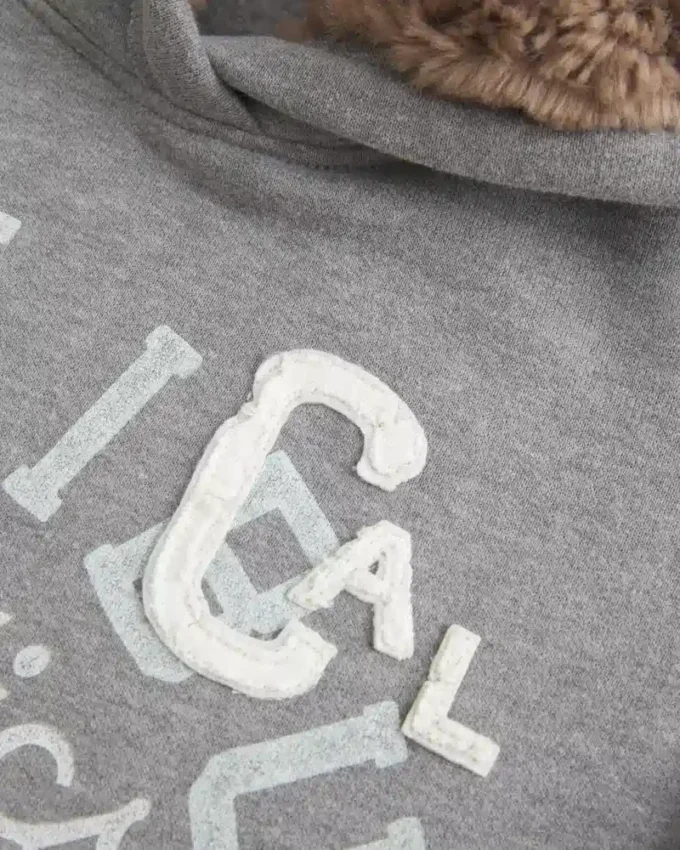 Faux Fur-Lined Hood Graphic Hoodie