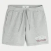 Florida State University Seminoles Graphic Fleece Shorts