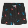 Mid-Thigh Volley Swim Trunks