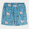 Mid-Thigh Volley Swim Trunks