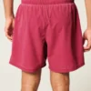 Mid-Thigh Volley Swim Trunks