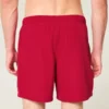 Mid-Thigh Volley Swim Trunks