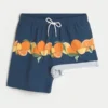 Mid-Thigh Volley Swim Trunks
