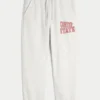 The Ohio State University Buckeyes Graphic Baggy Cinch Fleece Joggers The Ohio State University Buckeyes Graphic Baggy Cinch Fleece Joggers