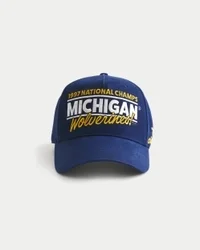 University of Michigan Wolverines Graphic Hat