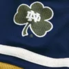 University of Notre Dame Fighting Irish Graphic Hockey Jersey